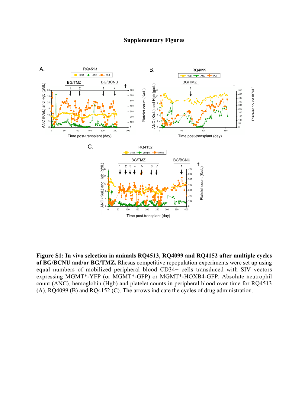 In Vivo Selection in Animals RQ4513, RQ4099 and RQ4152 After Multiple Cycles of BG/BCNU And/Or BG/TMZ