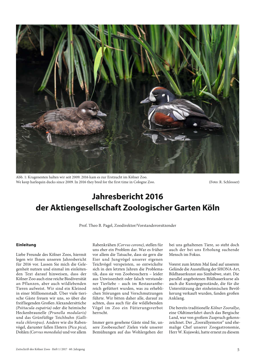 Jahresbericht 2016 Der Aktiengesellschaft Zoologischer Garten Köln