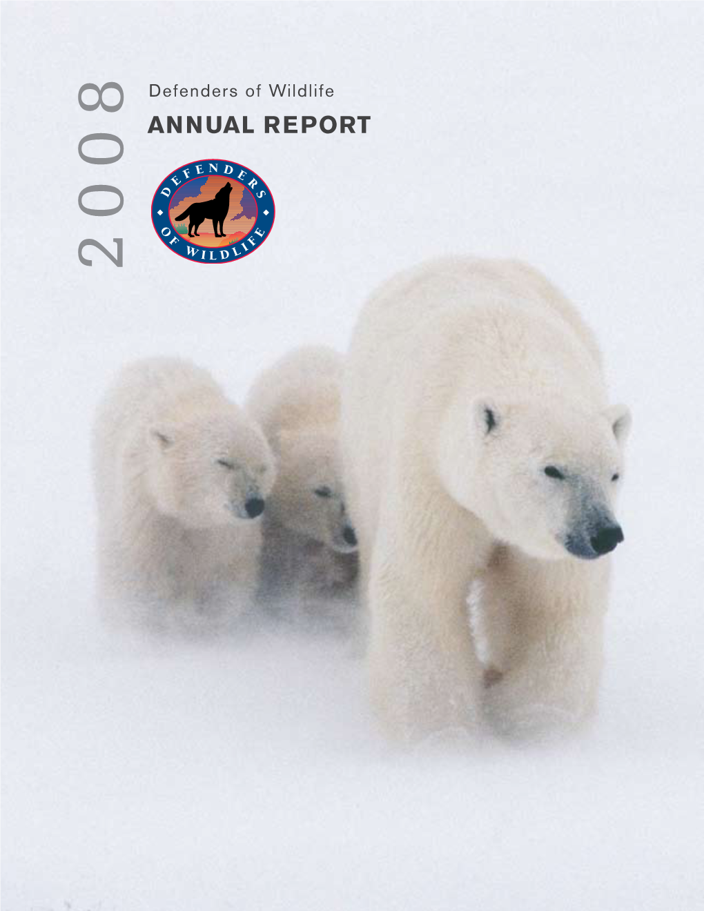 2008 Annual Report 1