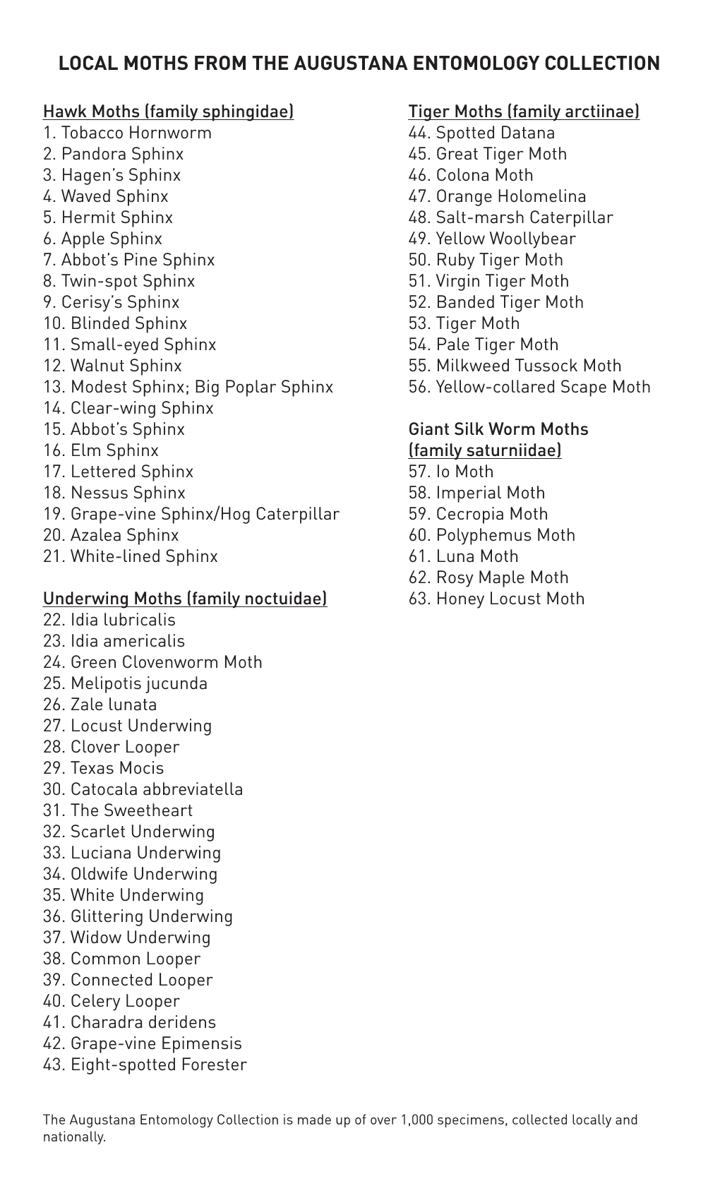 Local Moths from the Augustana Entomology Collection