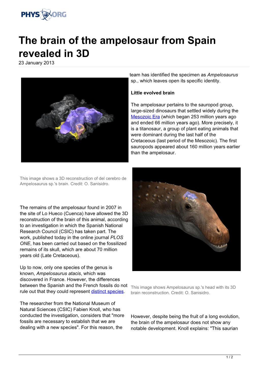 The Brain of the Ampelosaur from Spain Revealed in 3D 23 January 2013