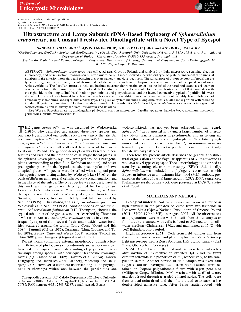 Ultrastructure and Large Subunit Rdnabased Phylogeny Of