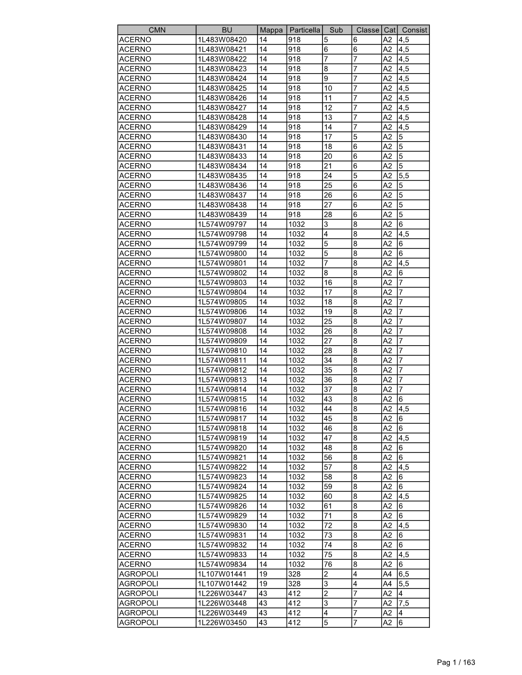 CMN BU Mappa Particella Sub Classe Cat Consist ACERNO
