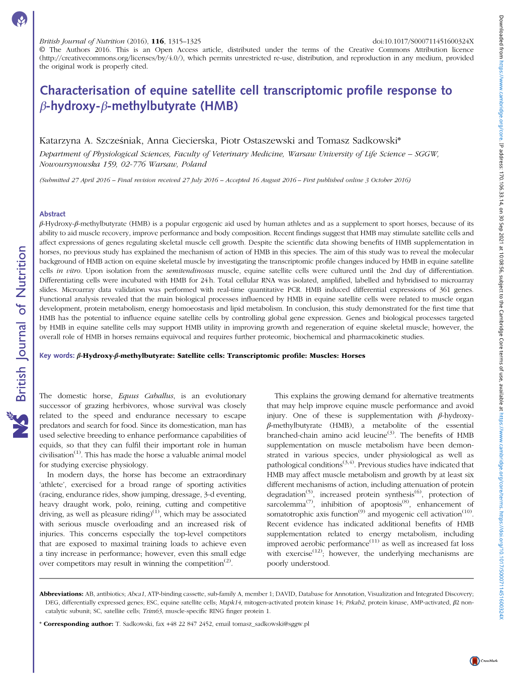 Characterisation of Equine Satellite Cell Transcriptomic Profile Response to Β-Hydroxy-Β-Methylbutyrate (HMB)