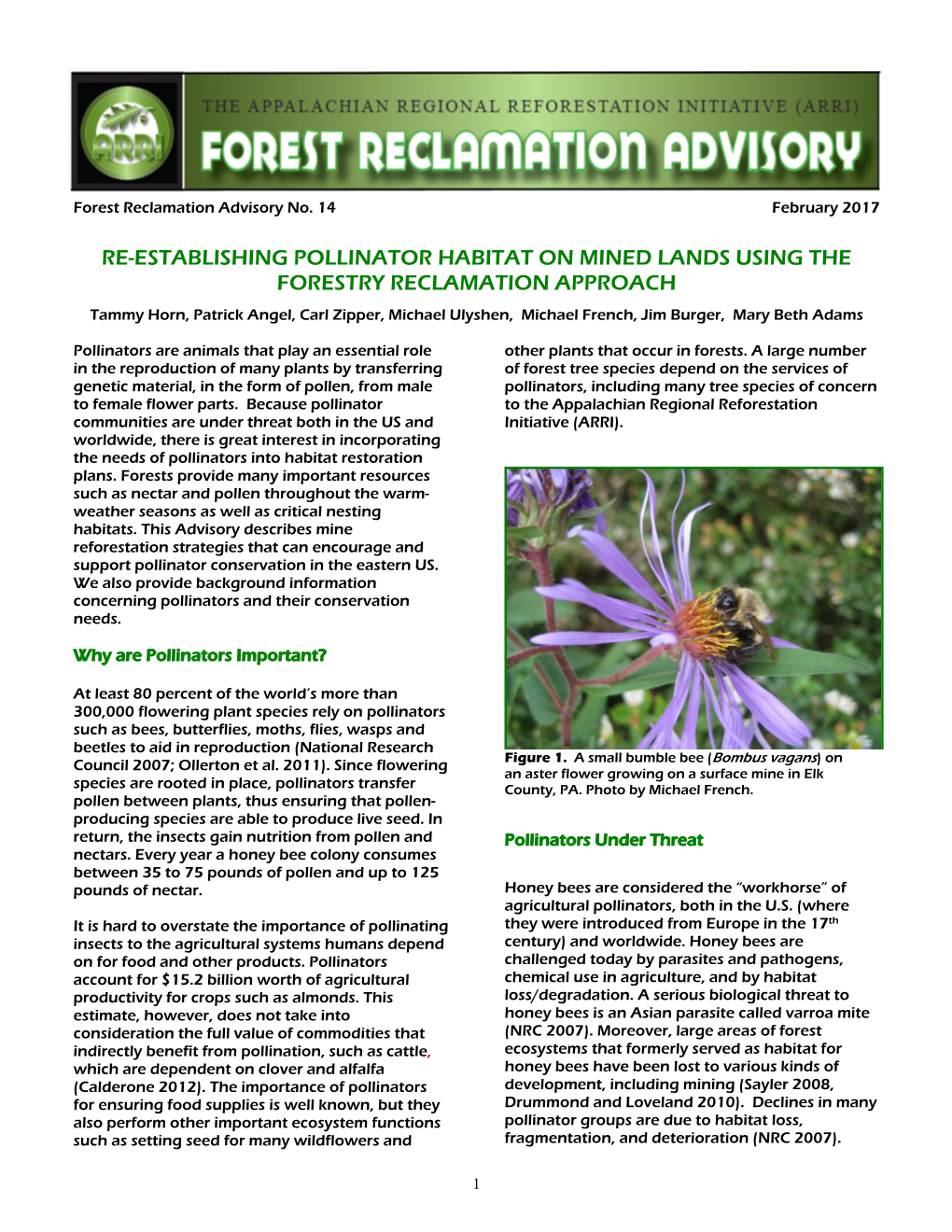 Re-Establishing Pollinator Habitat on Mined Lands Using the Forestry Reclamation Approach