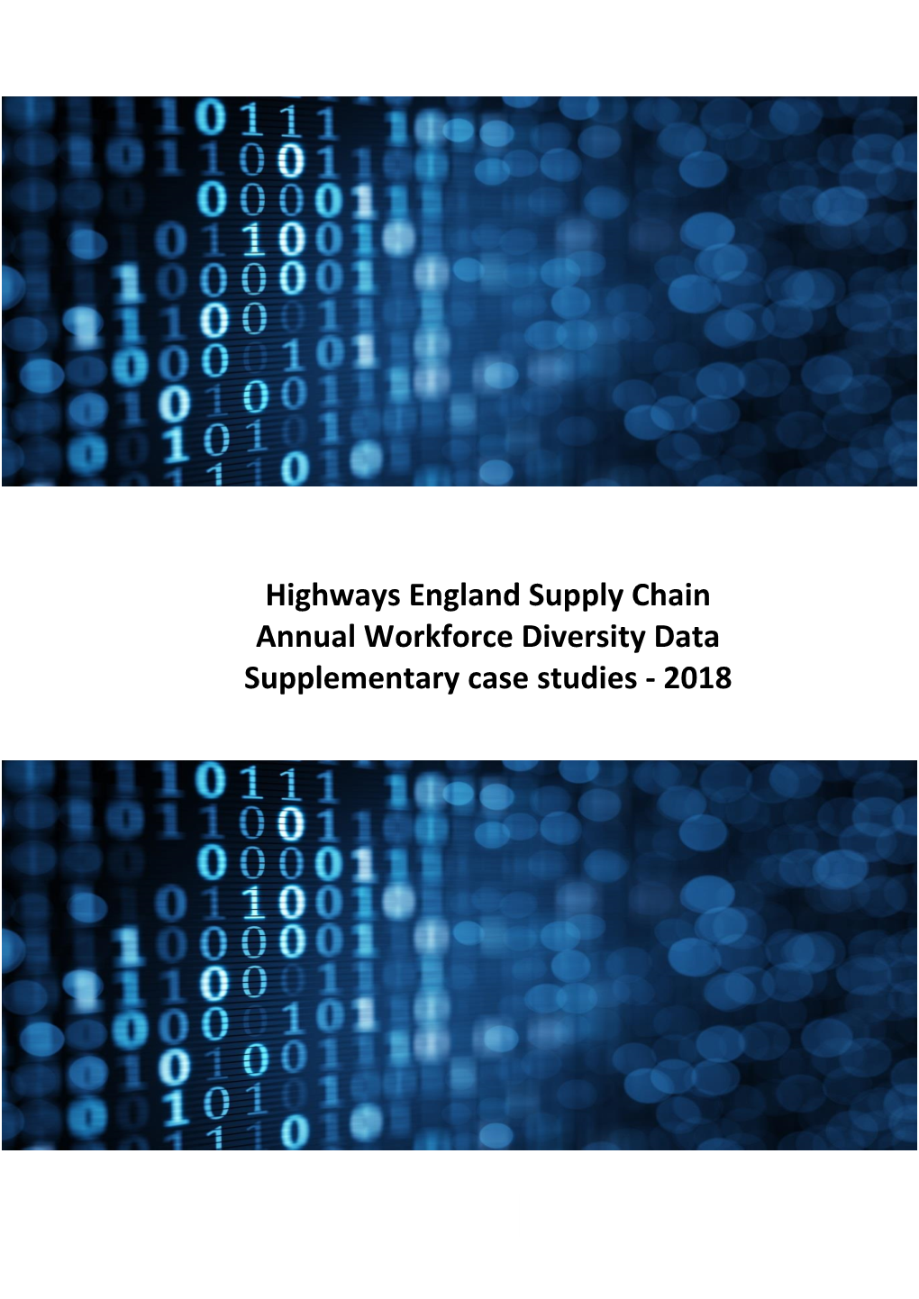 Highways England Supply Chain Annual Workforce Diversity Data Supplementary Case Studies - 2018
