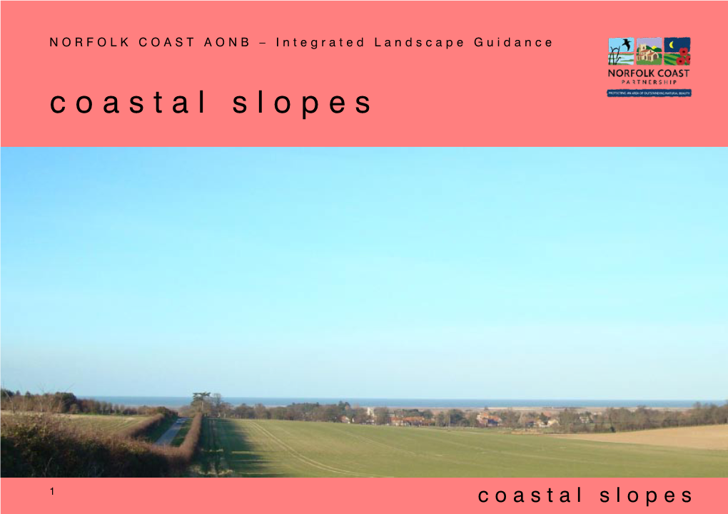 Coastal Slopes