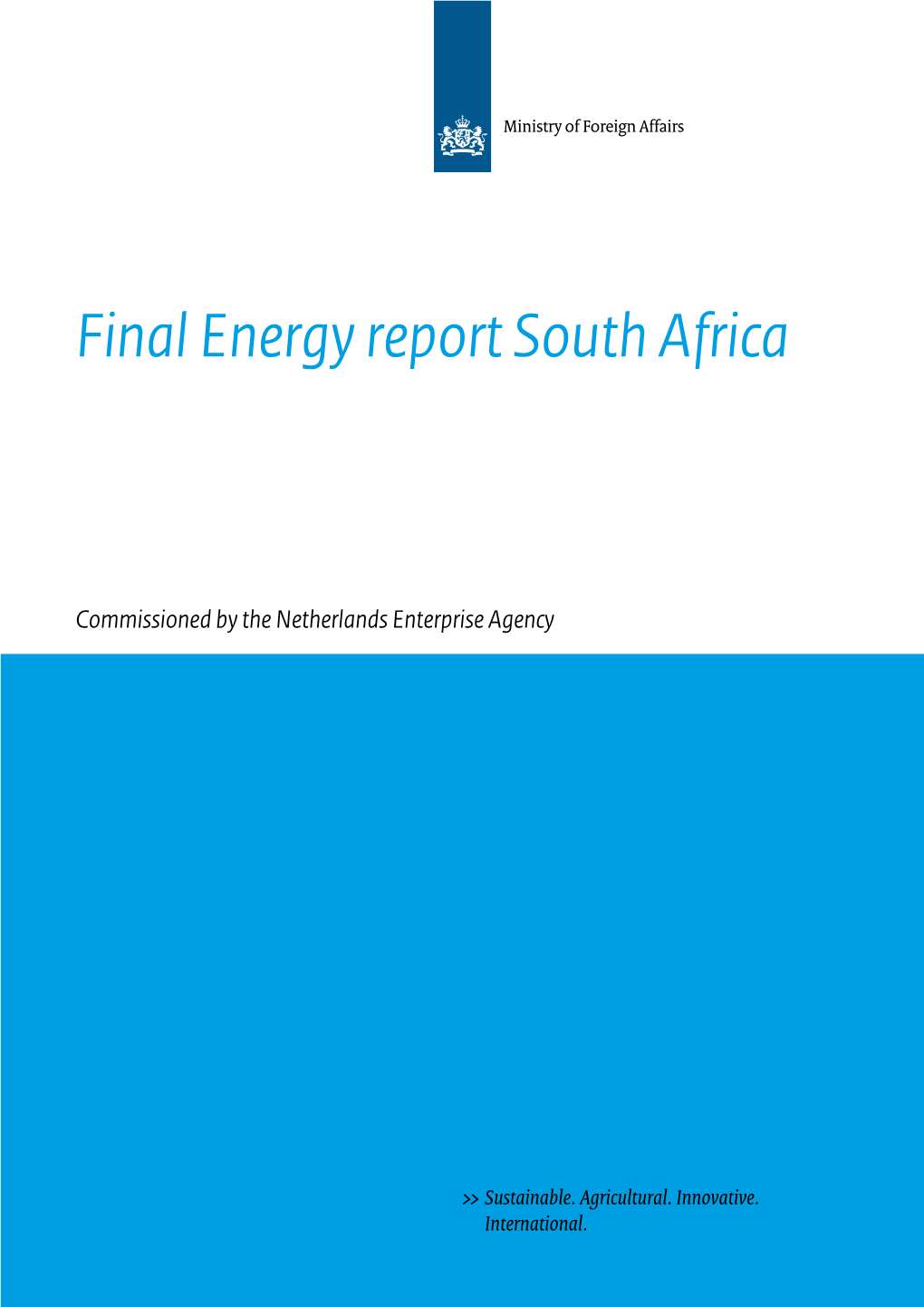 Final Energie Report South Africa