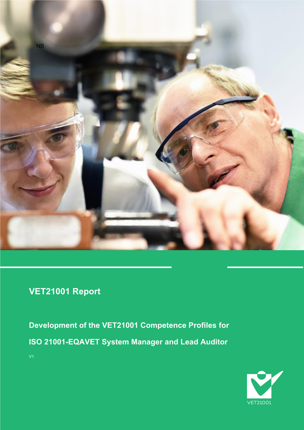 Report on the VET21001 Competence Profiles