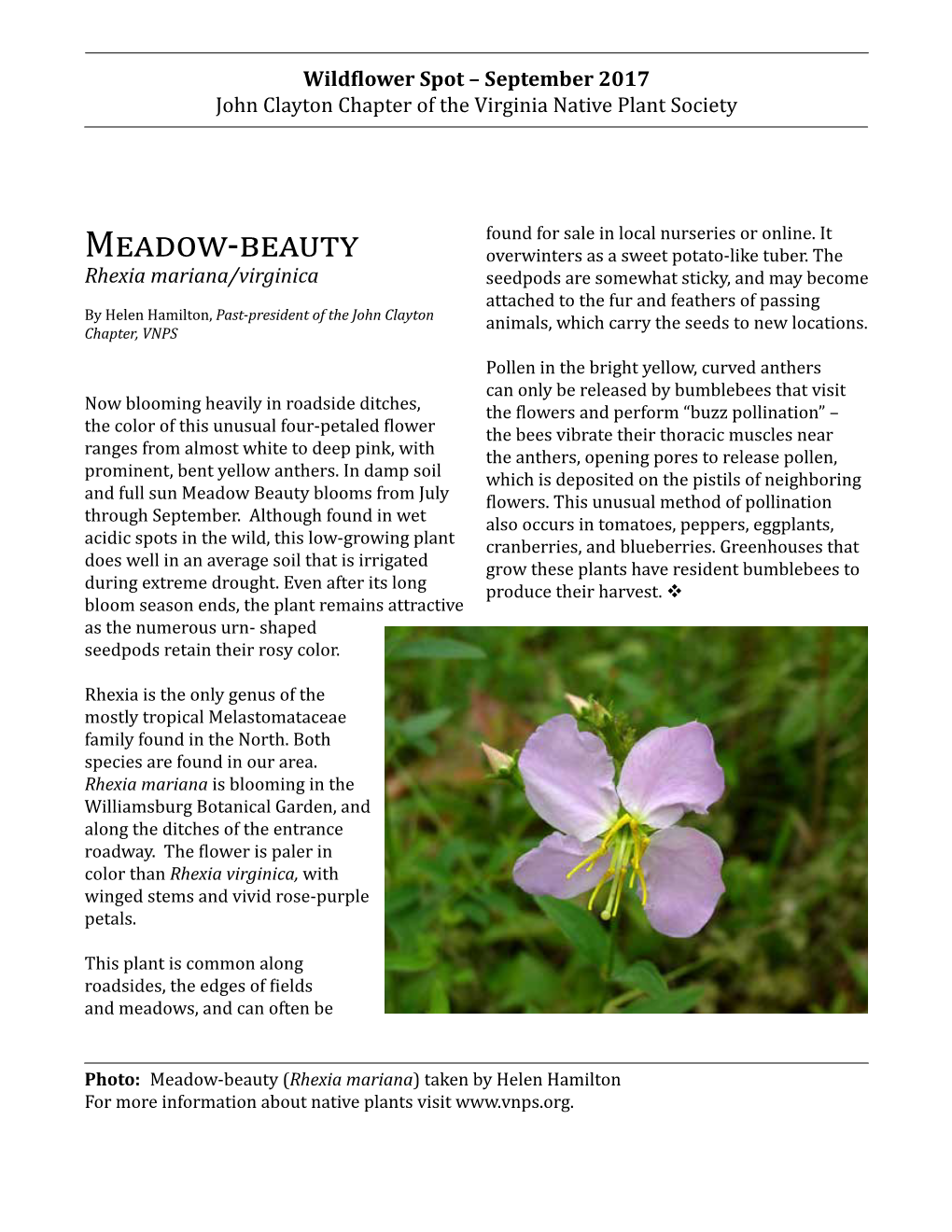 Meadow-Beauty September 2017 (PDF)