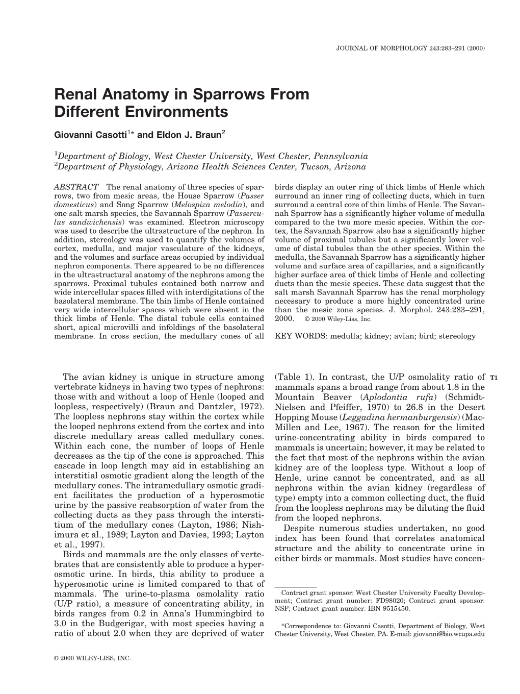 Renal Anatomy in Sparrows from Different Environments