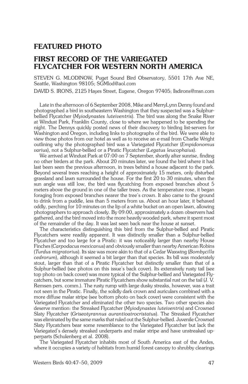 First Record of Variegated Flycatcher in Western North America