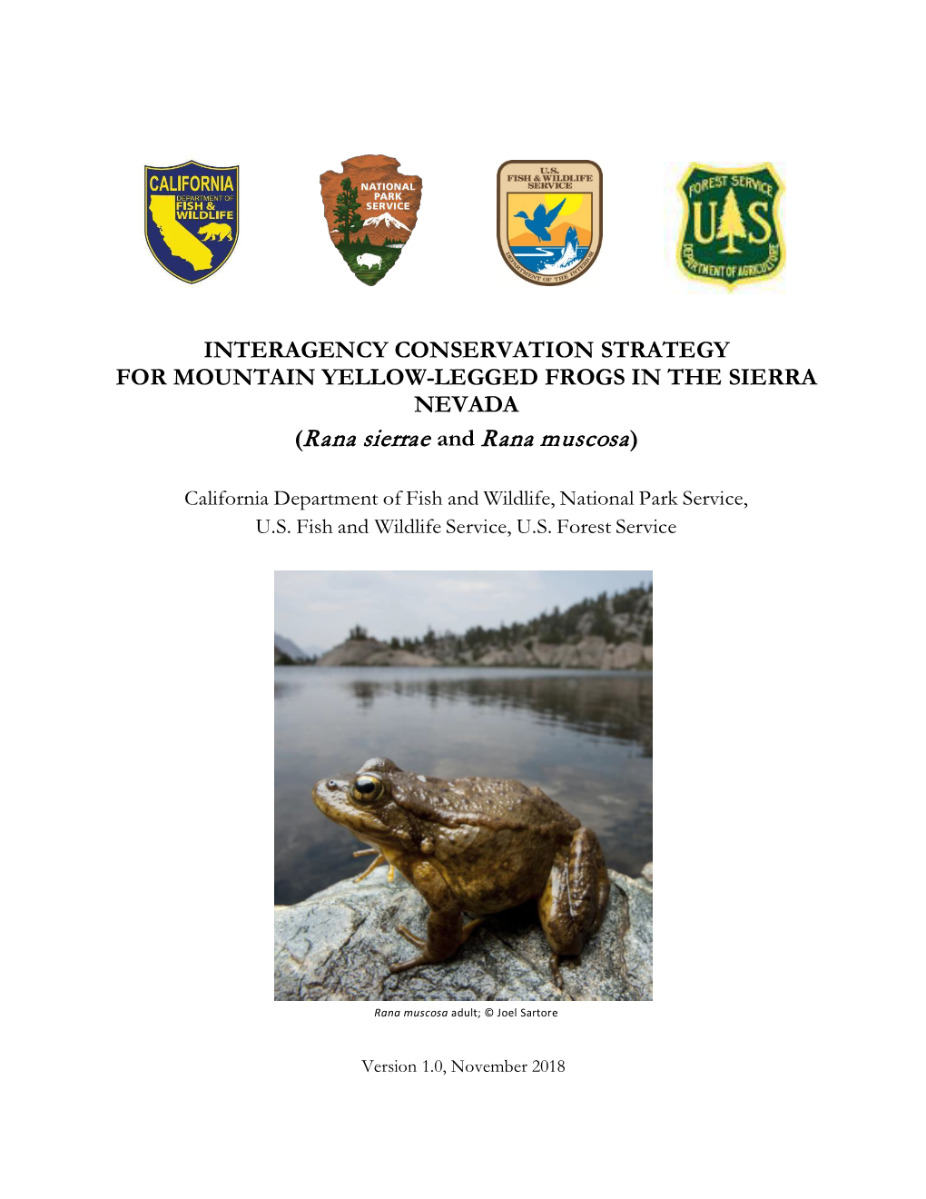 INTERAGENCY CONSERVATION STRATEGY for MOUNTAIN YELLOW-LEGGED FROGS in the SIERRA NEVADA (Rana Sierrae and Rana Muscosa)