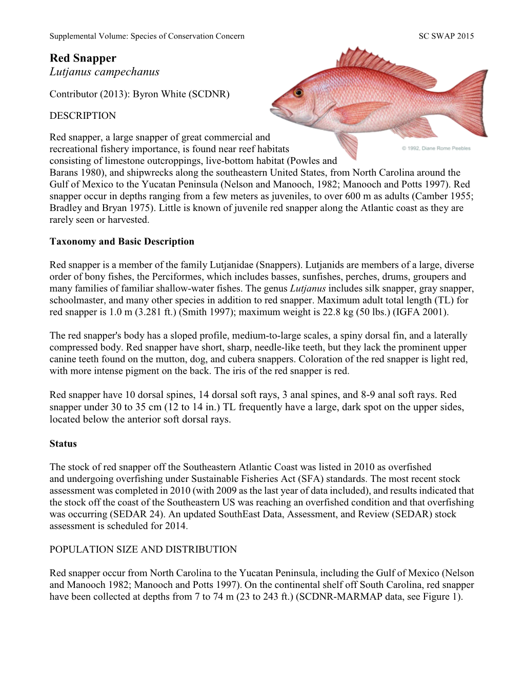 Data Report on the Age, Growth and Reproduction of Red Snapper, Lutjanus Campechanus