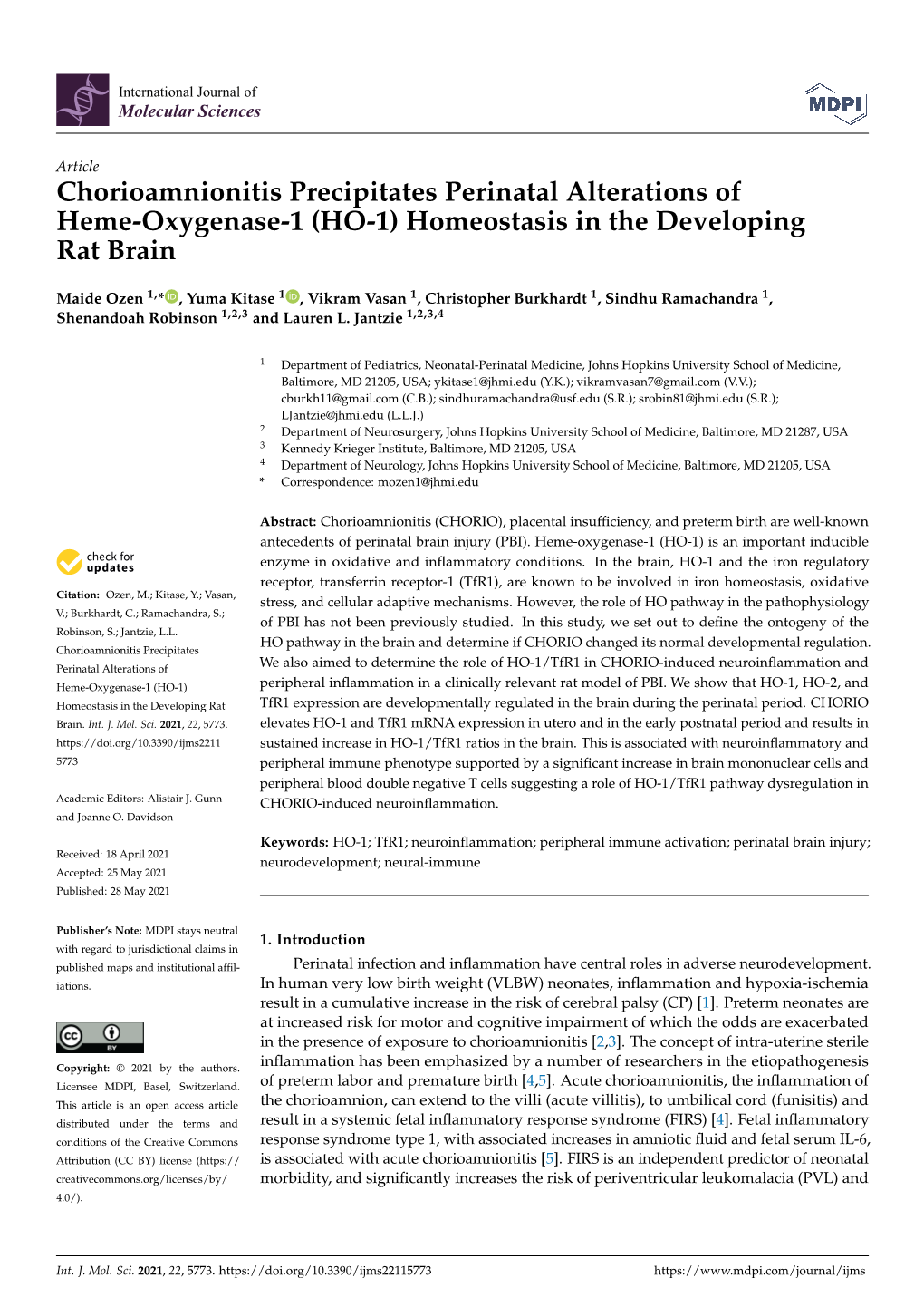 Chorioamnionitis Precipitates Perinatal Alterations of Heme-Oxygenase-1 (HO-1) Homeostasis in the Developing Rat Brain