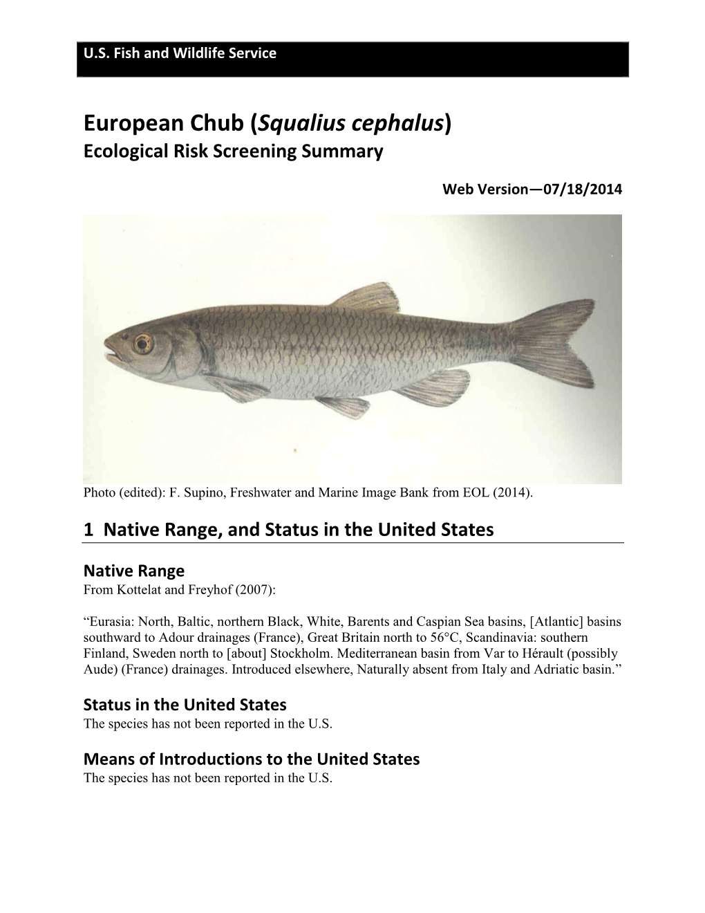 European Chub (Squalius Cephalus) Ecological Risk Screening Summary