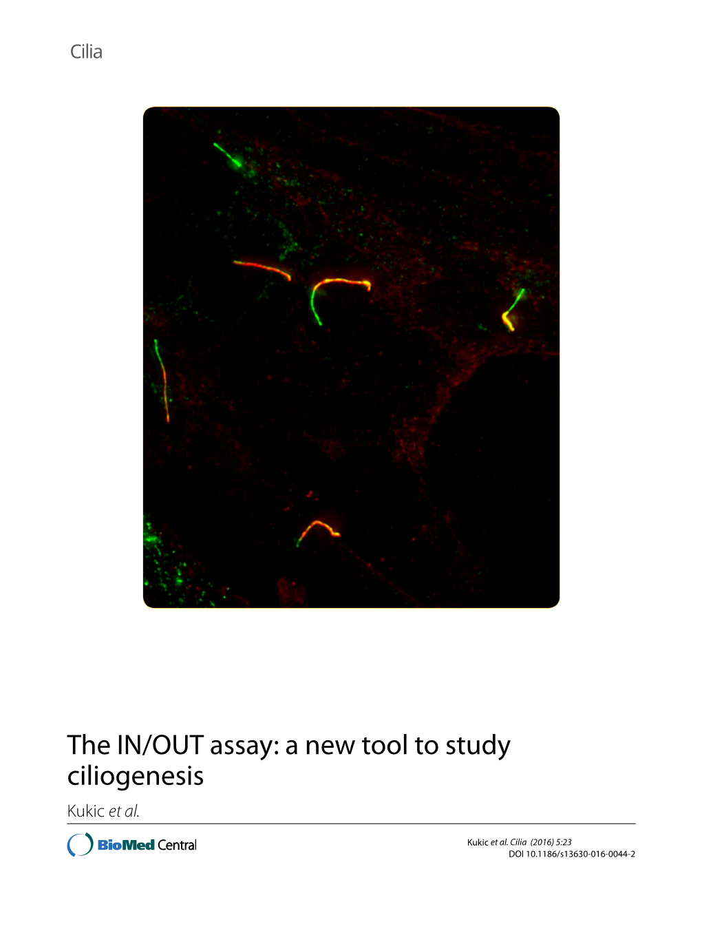 A New Tool to Study Ciliogenesis Kukic Et Al