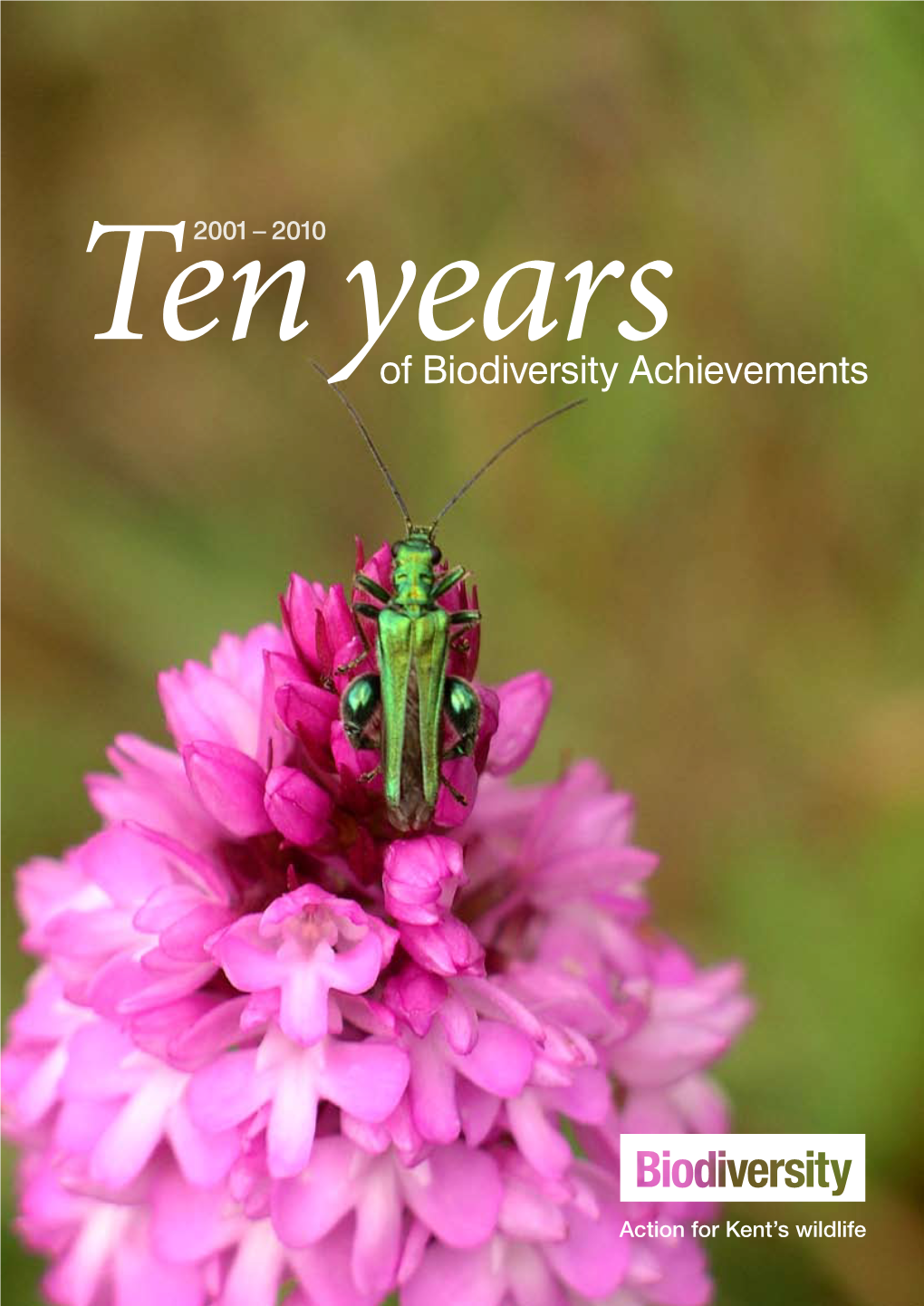 Of Biodiversity Achievements Front Cover: Oedemera Nobilis on Pyramidal Orchid by KMBRC