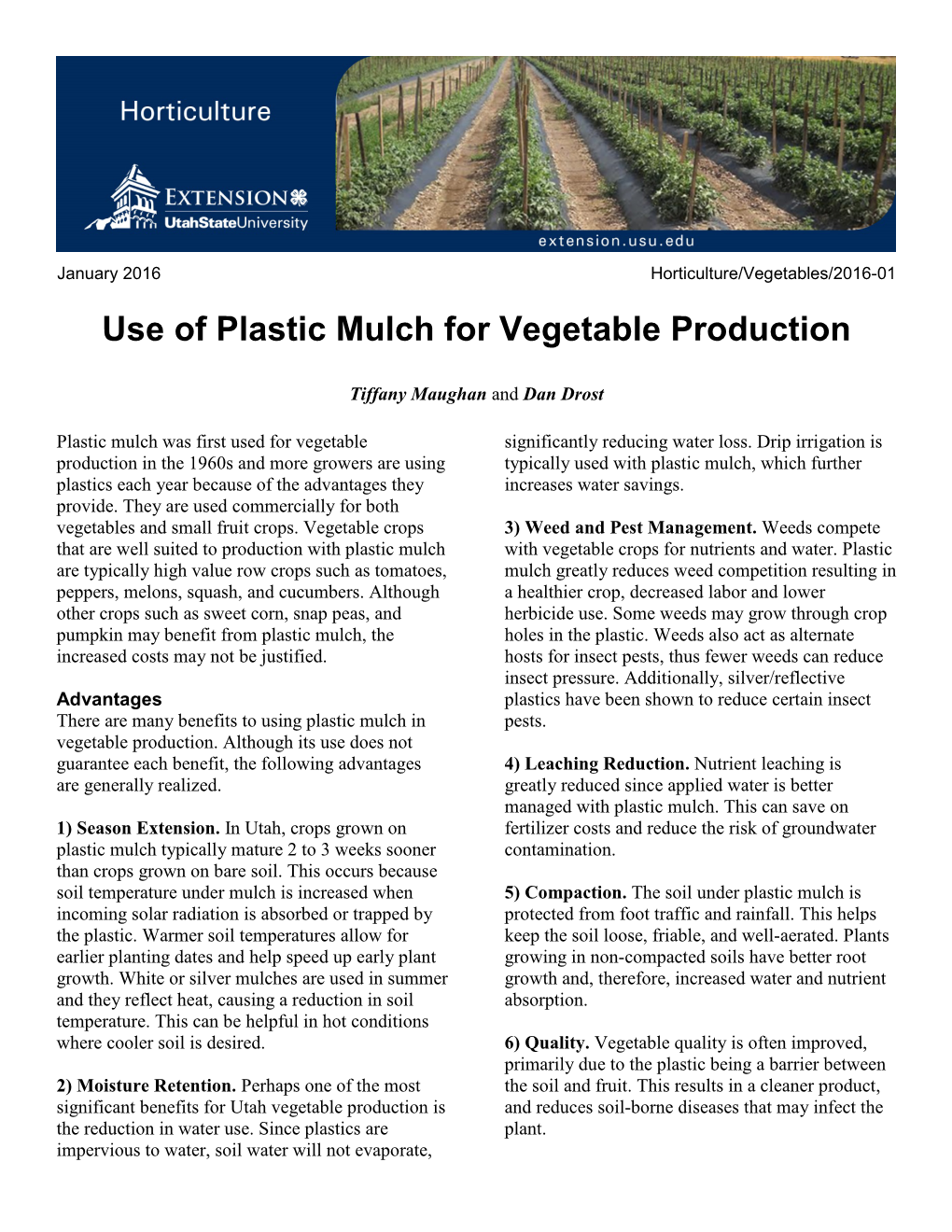 Use of Plastic Mulch for Vegetable Production