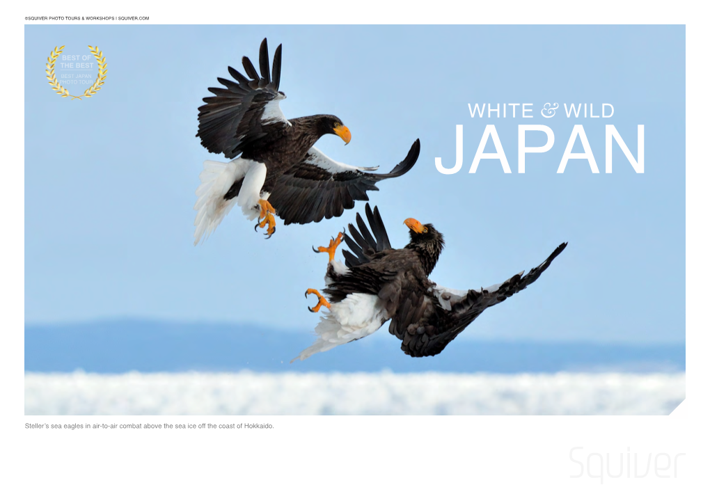 White & Wild Japan 2019.Pages