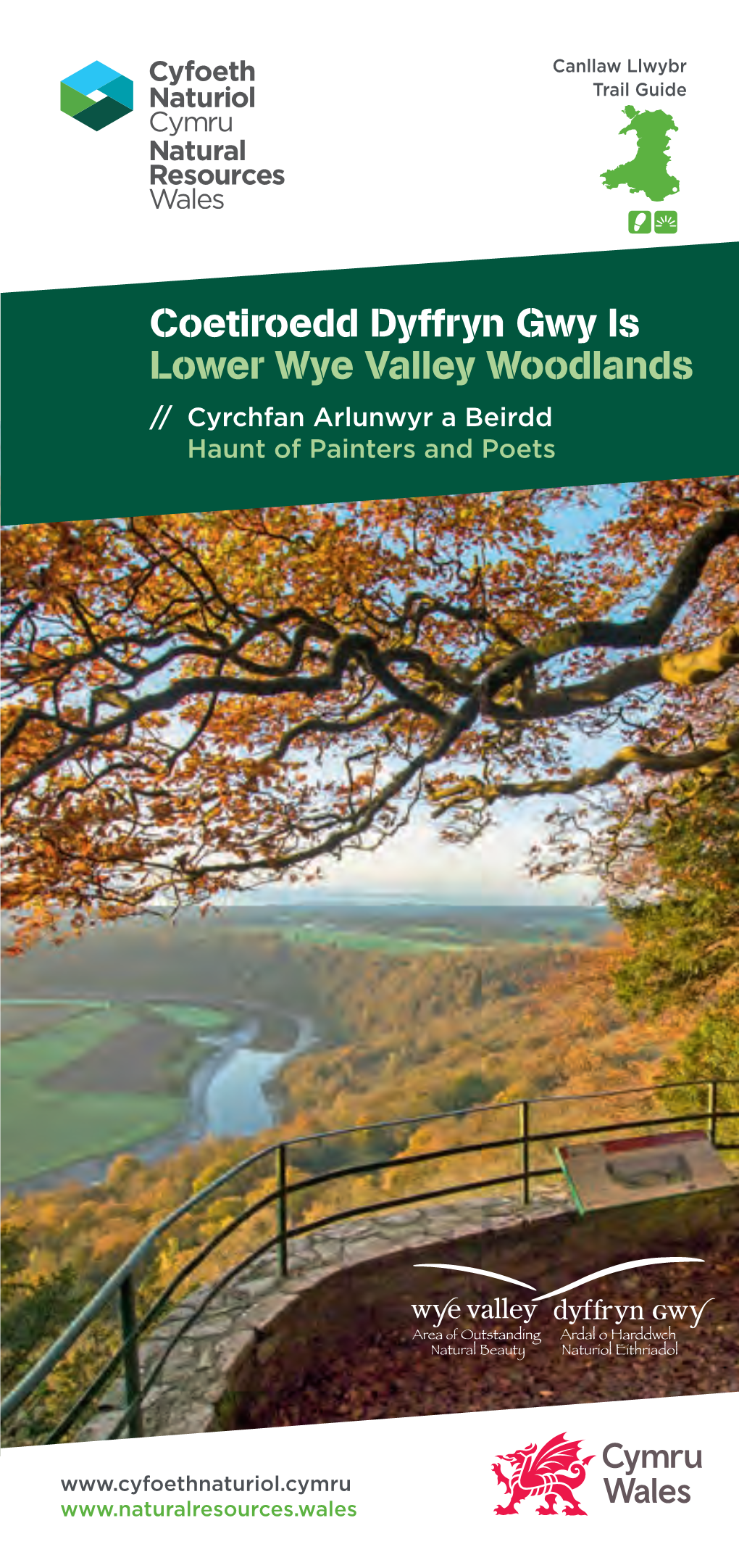 Wye-Valley-Woodlands-Leaflet.Pdf