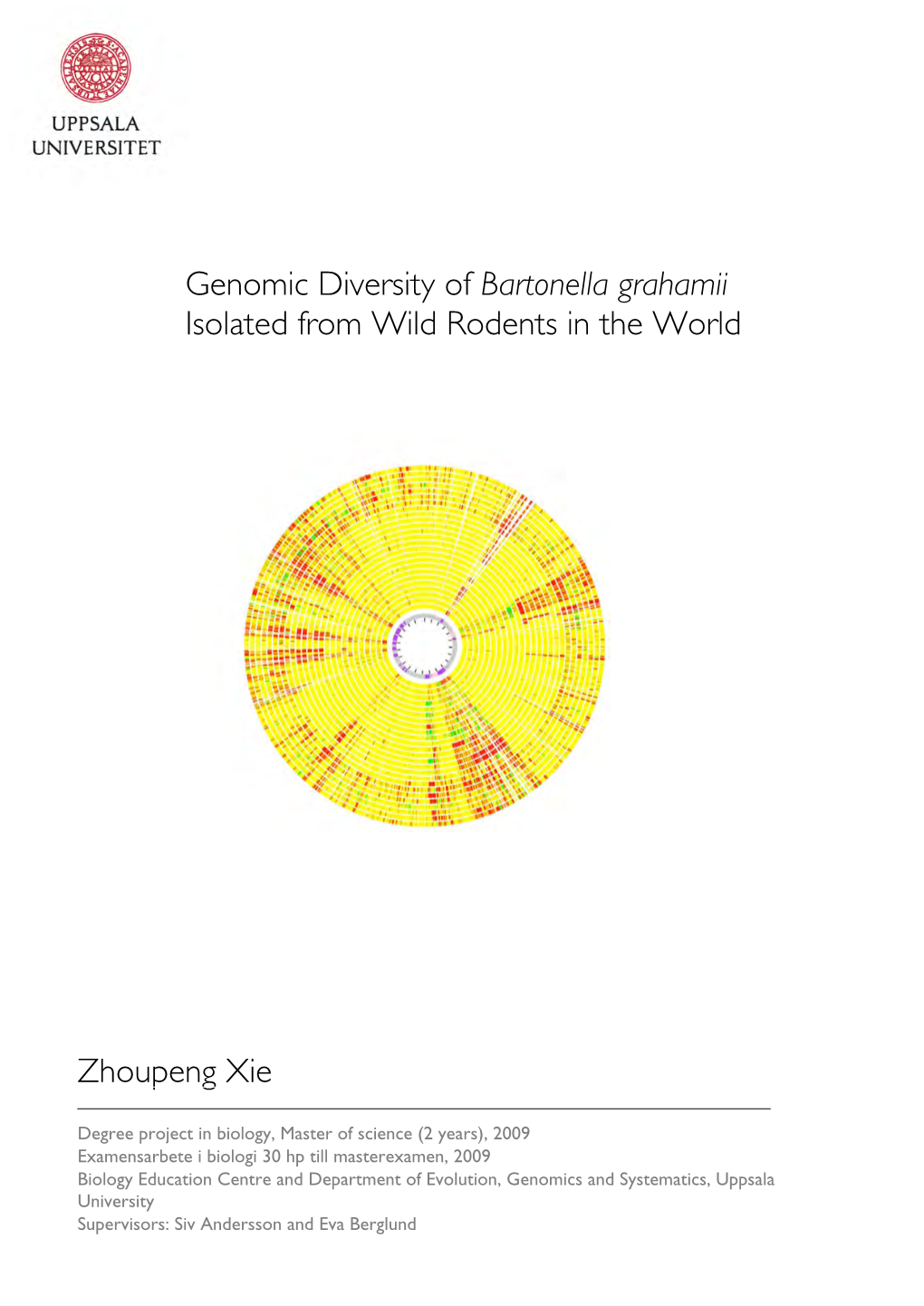 Genomic Diversity of Bartonella Grahamii Isolated from Wild Rodents in the World