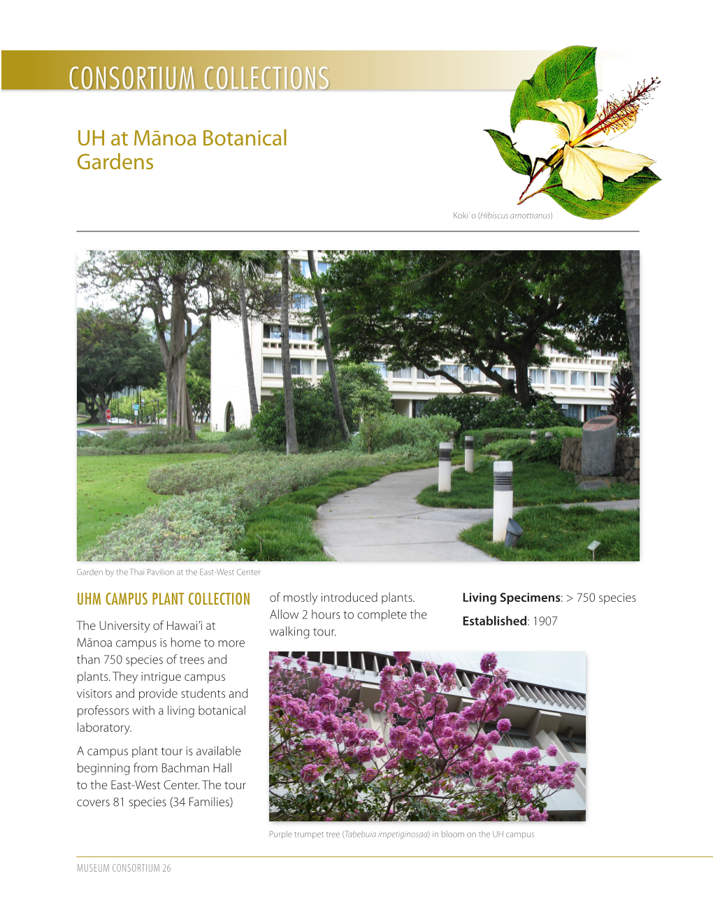 UHM Botanical Gardens Brochure