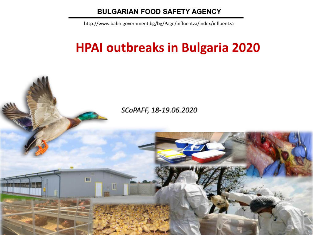 HPAI H5N1 in Burgas Region of Bulgaria