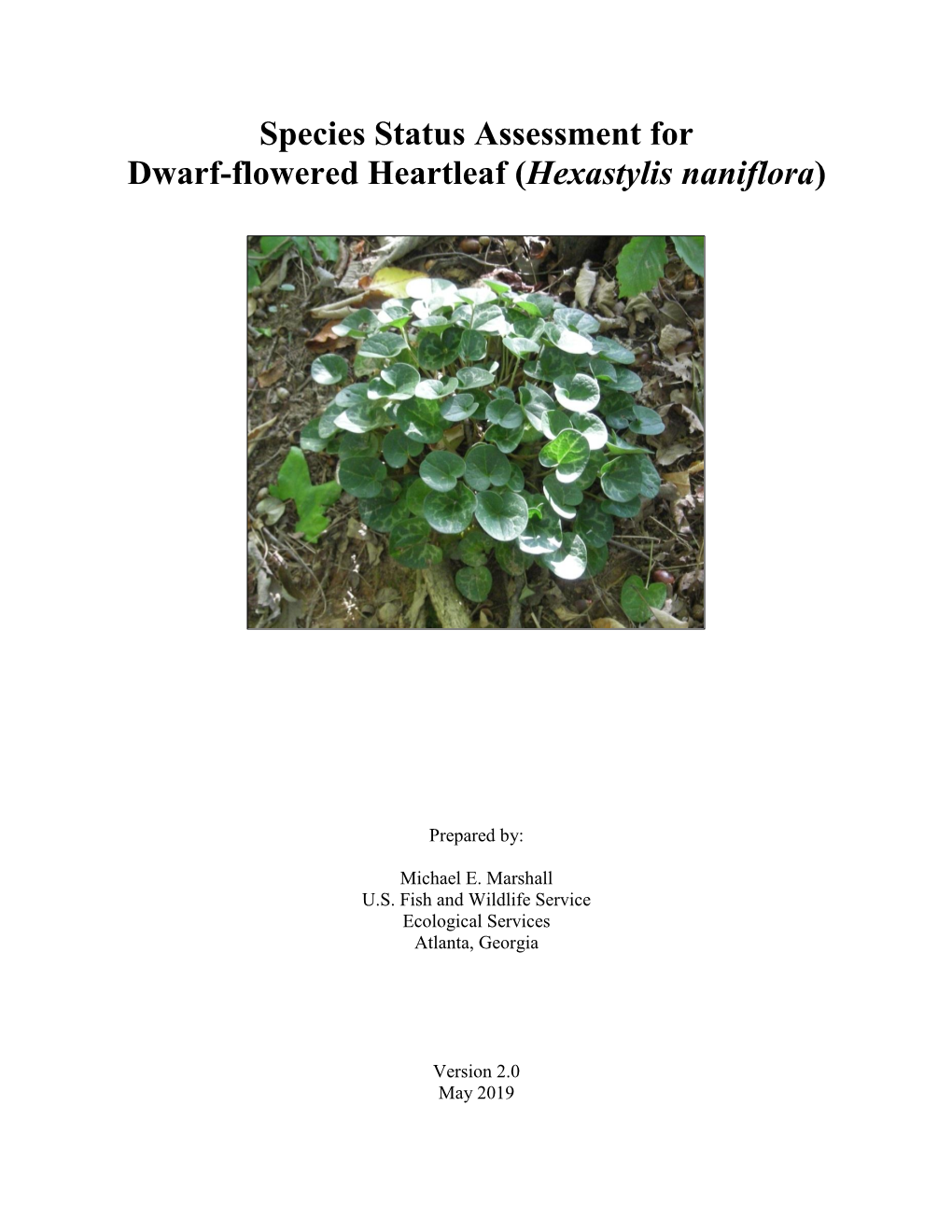 Species Status Assessment for Dwarf-Flowered Heartleaf (Hexastylis Naniflora)