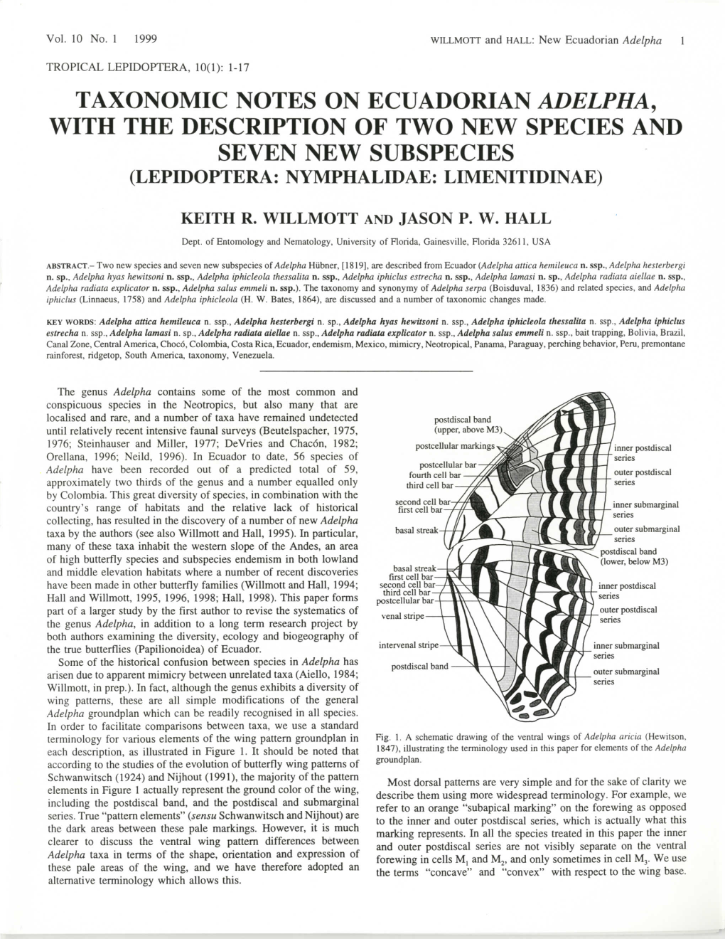 Taxonomic Notes on Ecuadorian Adelpha, with the Description of Two New Species and Seven New Subspecies (Lepidoptera: Nymphalidae: Limenitidinae)