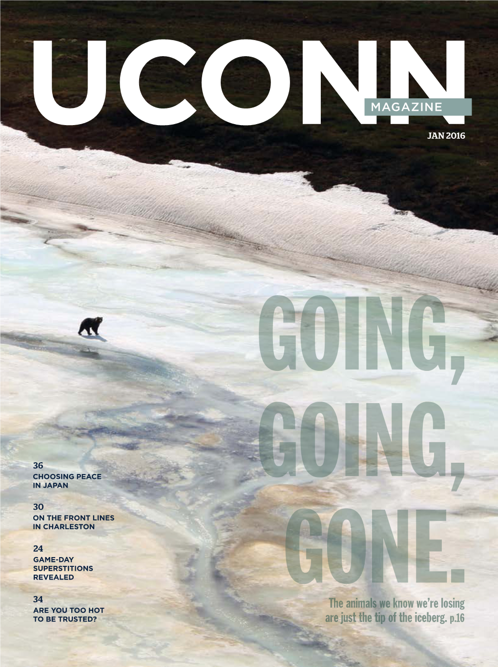 Uconn Magazine Interviews Rose, Then Calliope, in January 2016