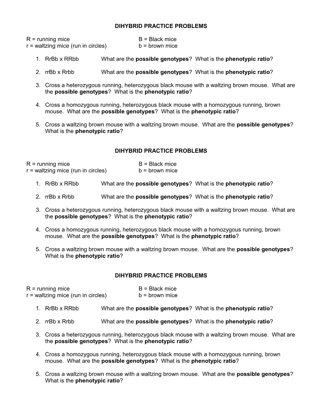 Dihybrid Practice Problems s1