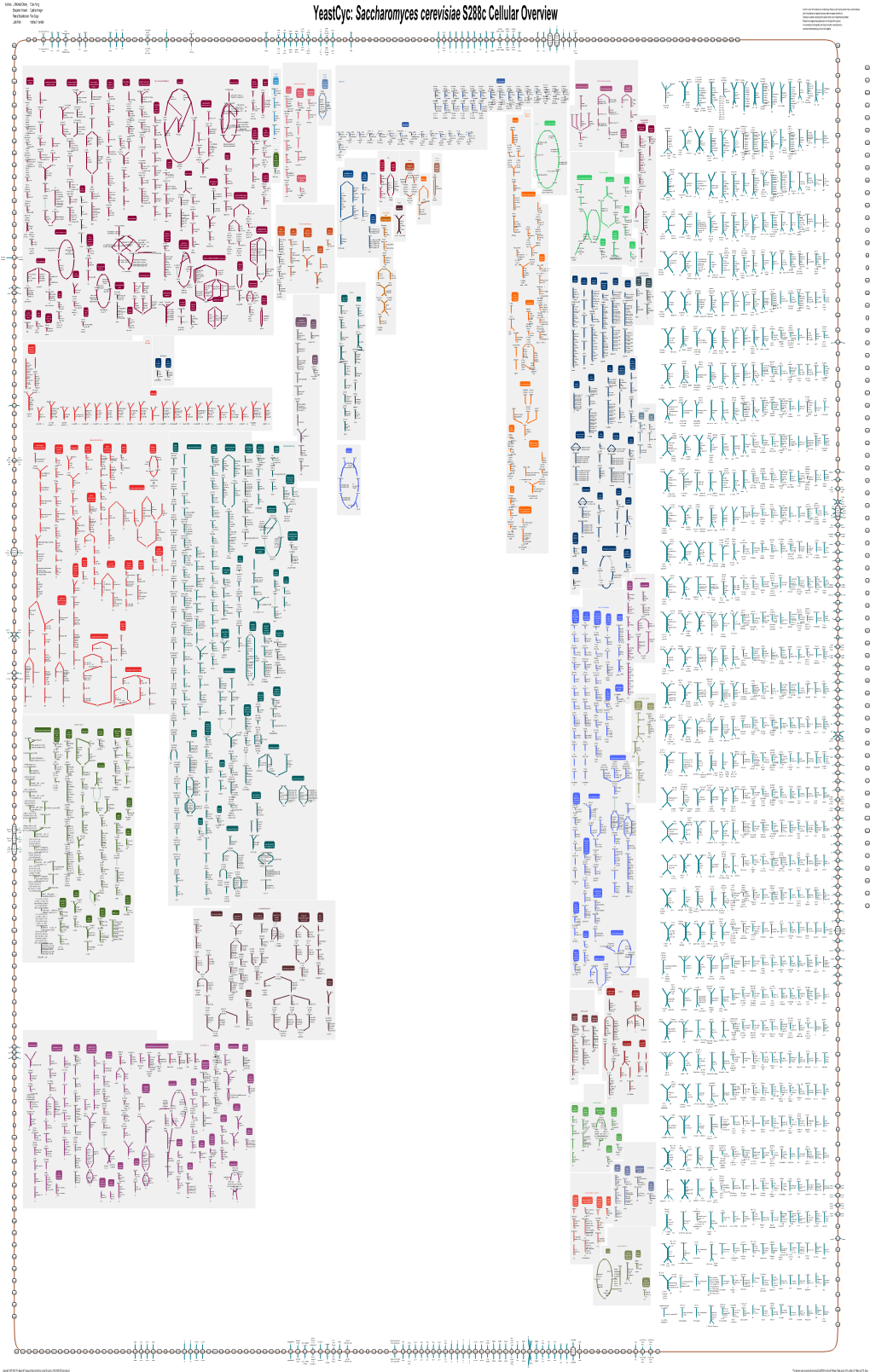 Generated by SRI International Pathway Tools Version 24.0 on Thu