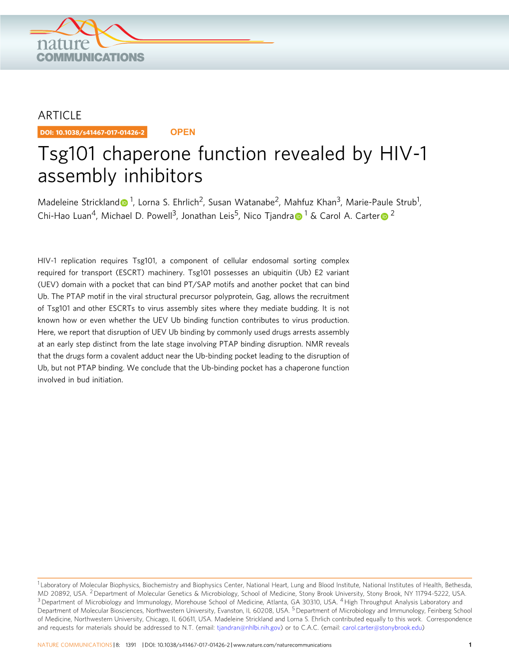 Tsg101 Chaperone Function Revealed by HIV-1 Assembly Inhibitors