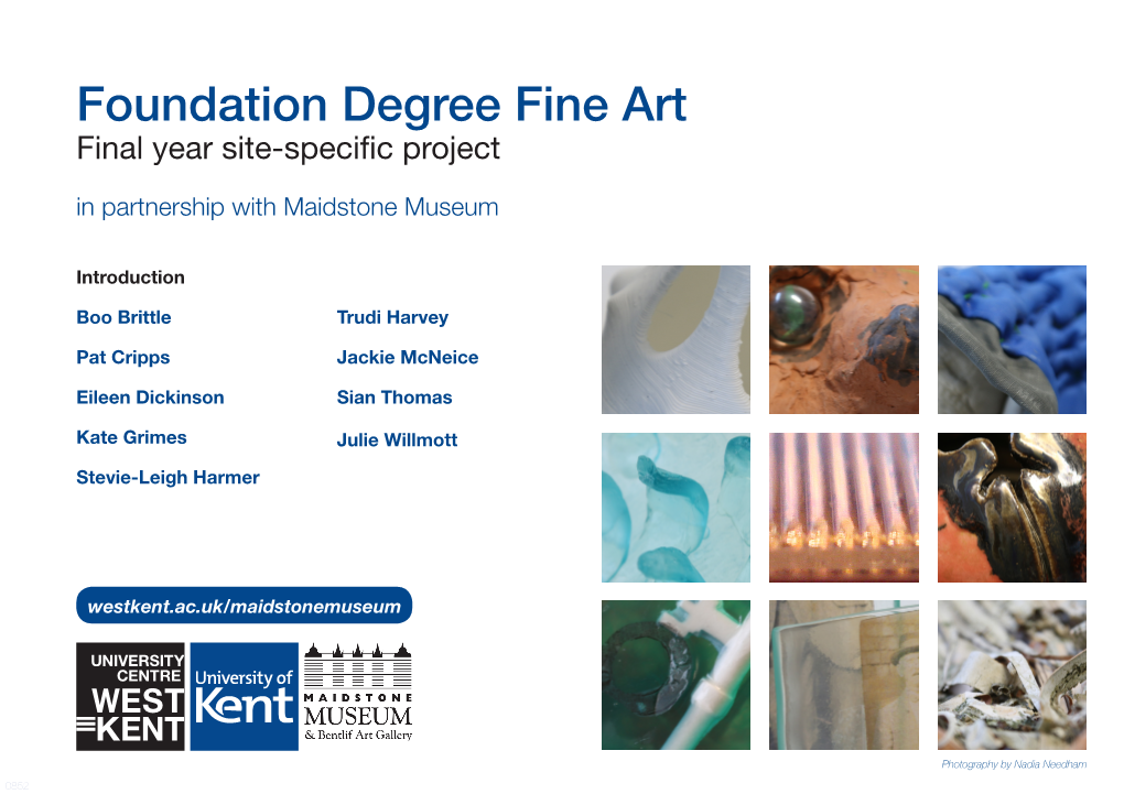 Foundation Degree Fine Art Final Year Site-Specific Project in Partnership with Maidstone Museum