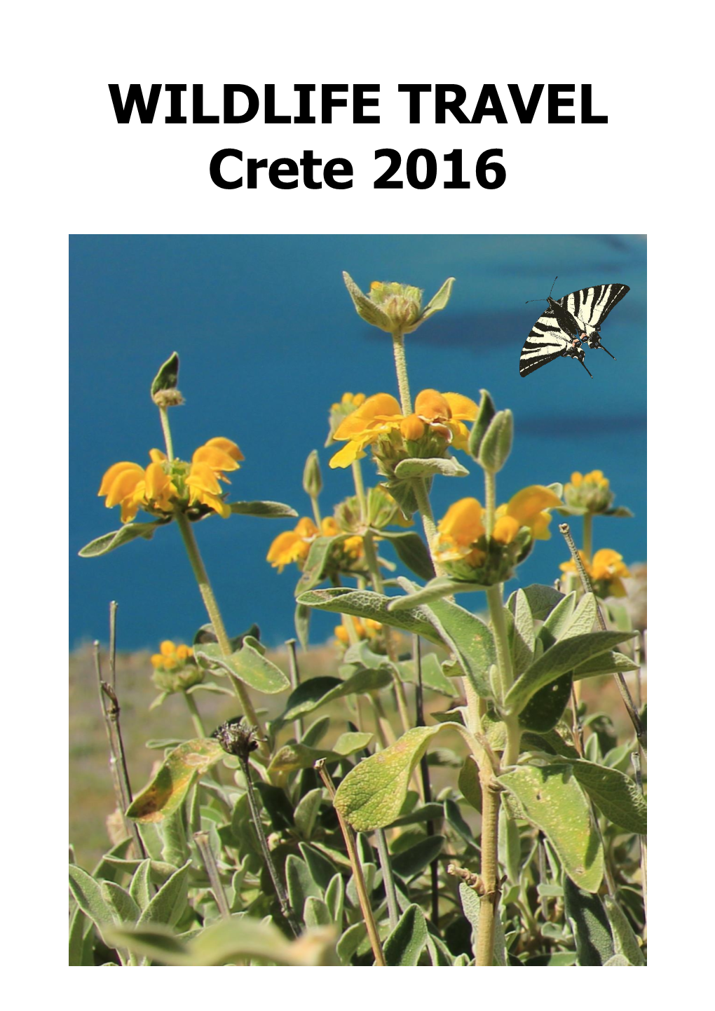 WILDLIFE TRAVEL Crete 2016