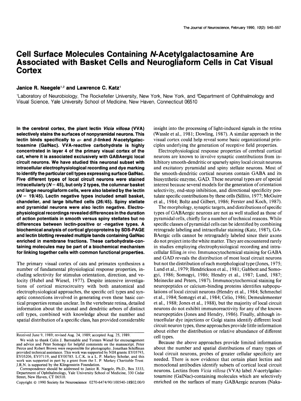 Cell Surface Molecules Containing IV-Acetylgalactosamine Are Associated with Basket Cells and Neurogliaform Cells in Cat Visual Cortex