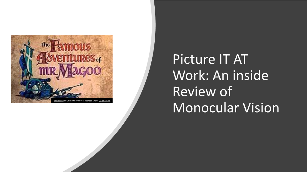 Picture IT at Work: an Inside Review of Monocular Vision