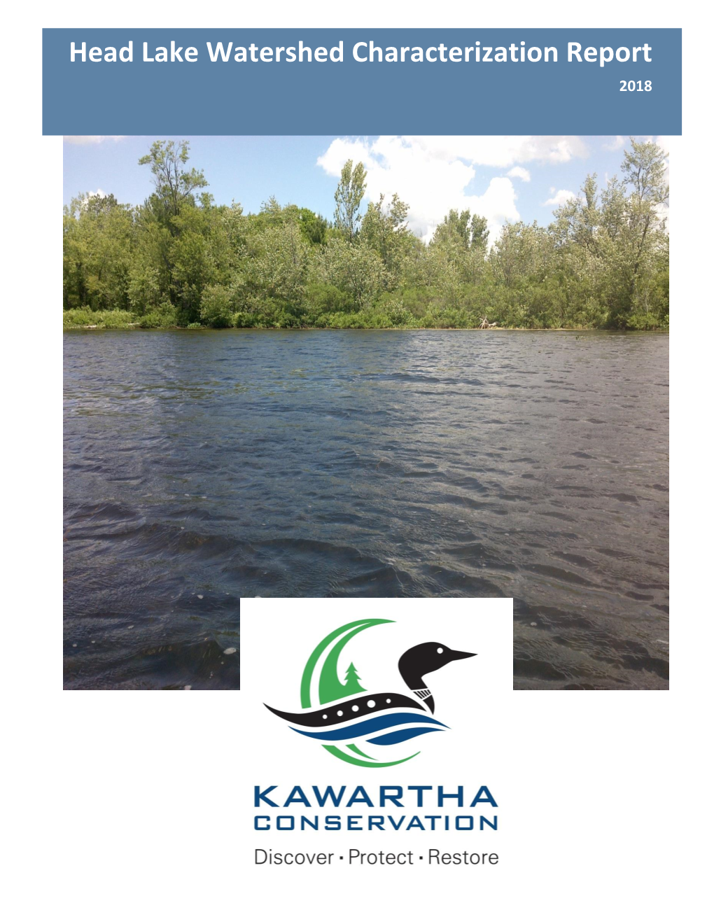 Head Lake and Rush Lake Watershed Characterization Report