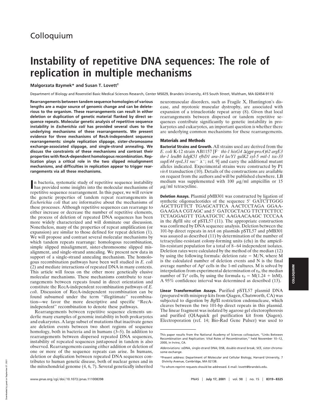 Instability of Repetitive DNA Sequences: the Role of Replication in Multiple Mechanisms