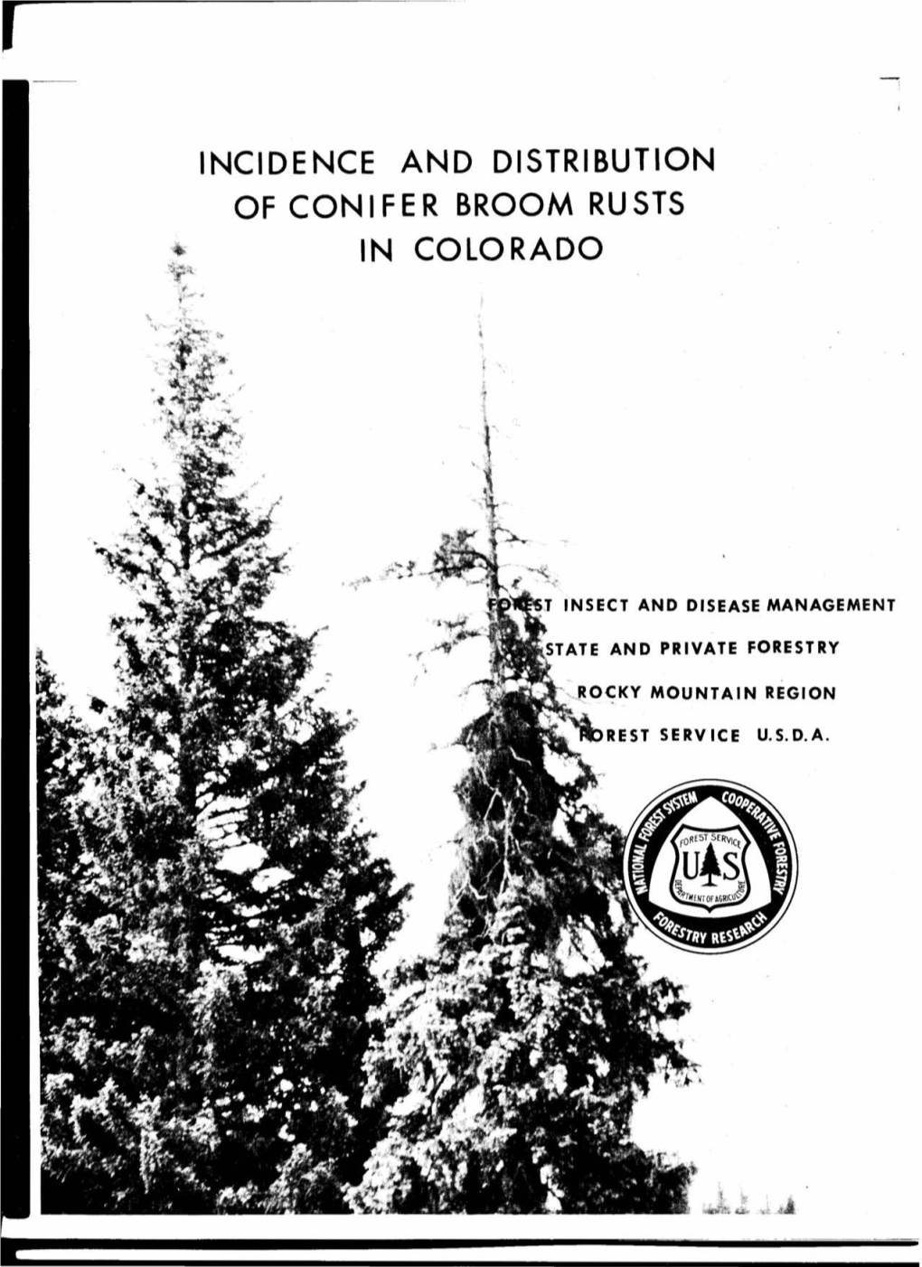 Incidence and Distribution of Conifer Broom Rusts in Colorado