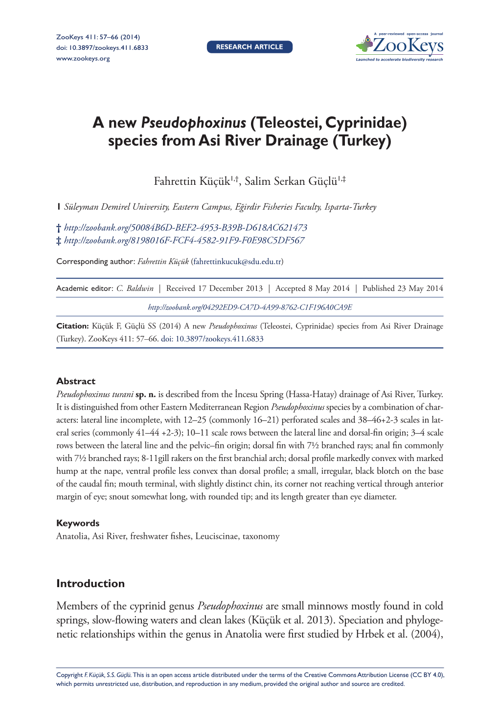 A New Pseudophoxinus (Teleostei, Cyprinidae) Species from Asi River Drainage (Turkey)