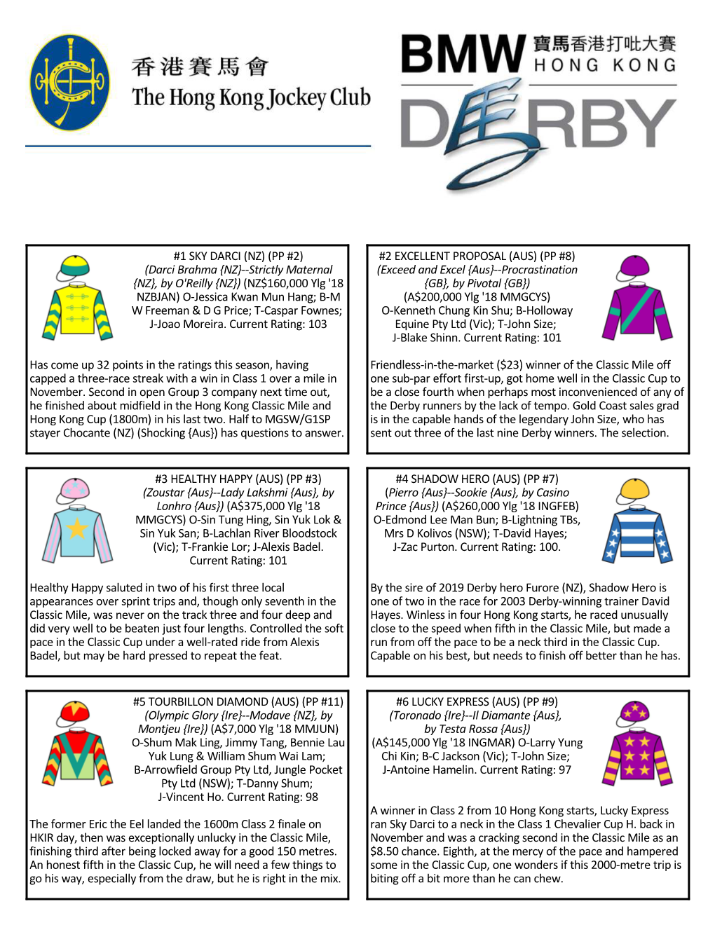 BMW Hong Kong Derby Cheat Sheet