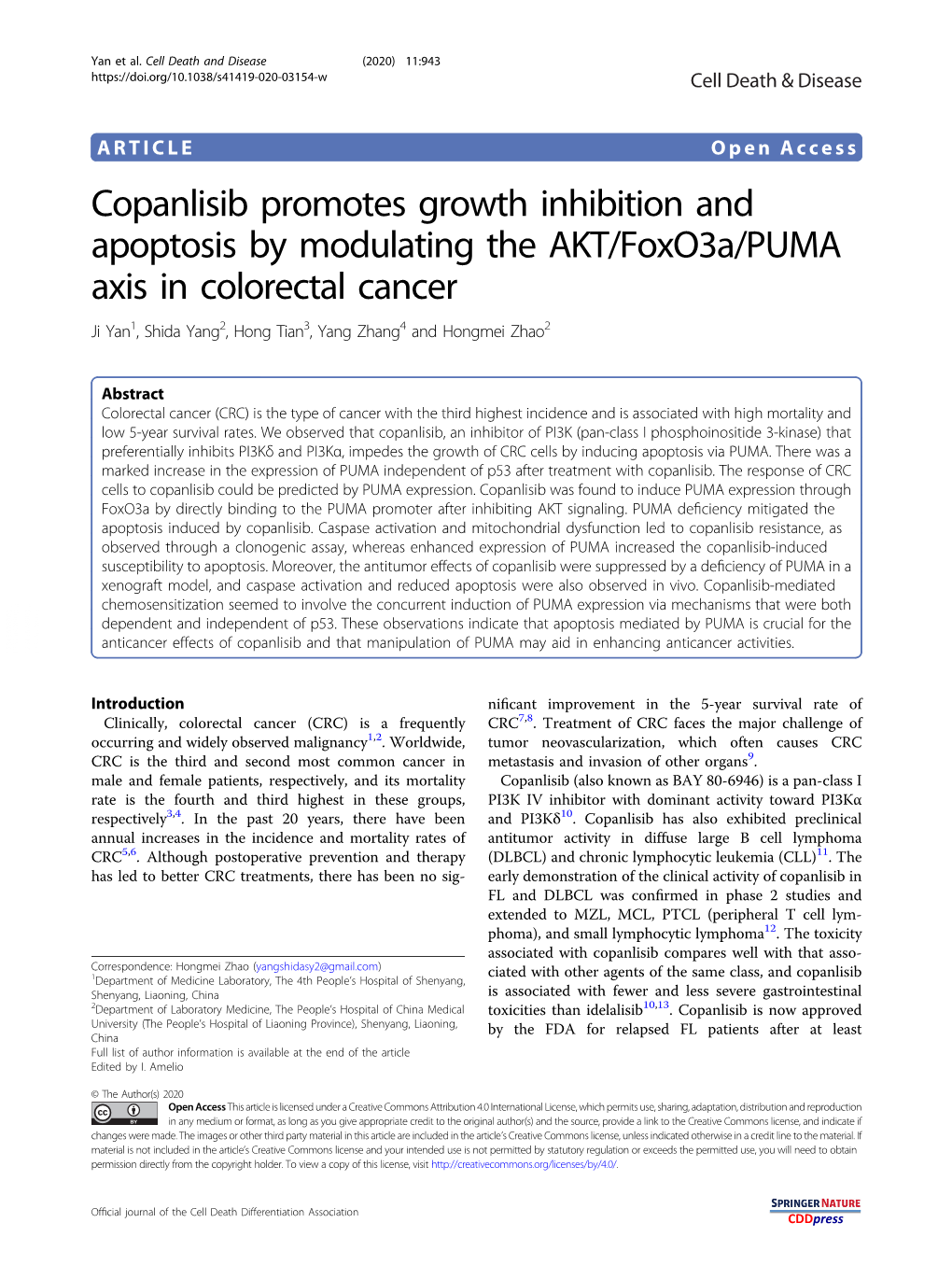 Copanlisib Promotes Growth Inhibition and Apoptosis by Modulating The