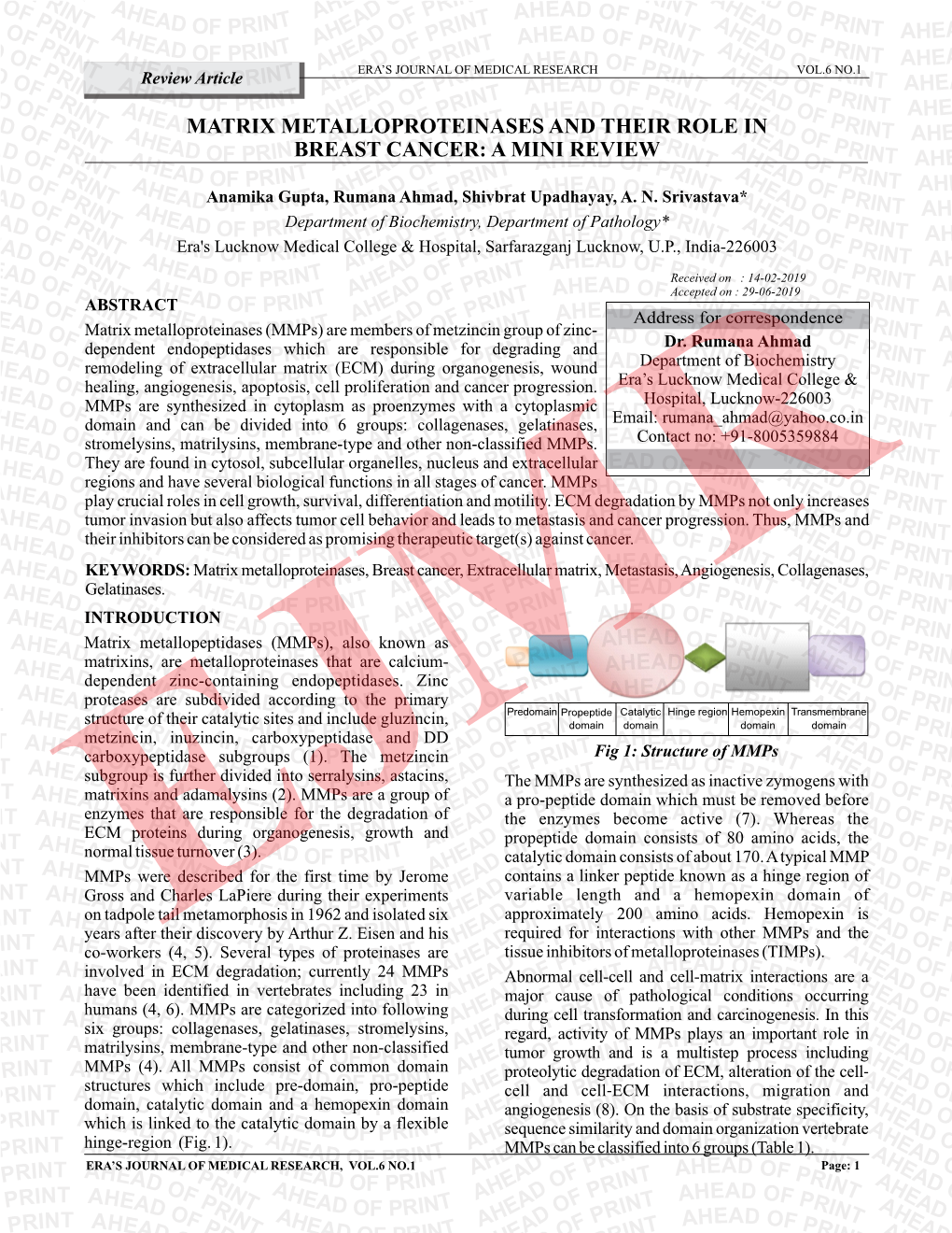 Matrix Metalloproteinases and Their Role in Breast Cancer: a Mini Review