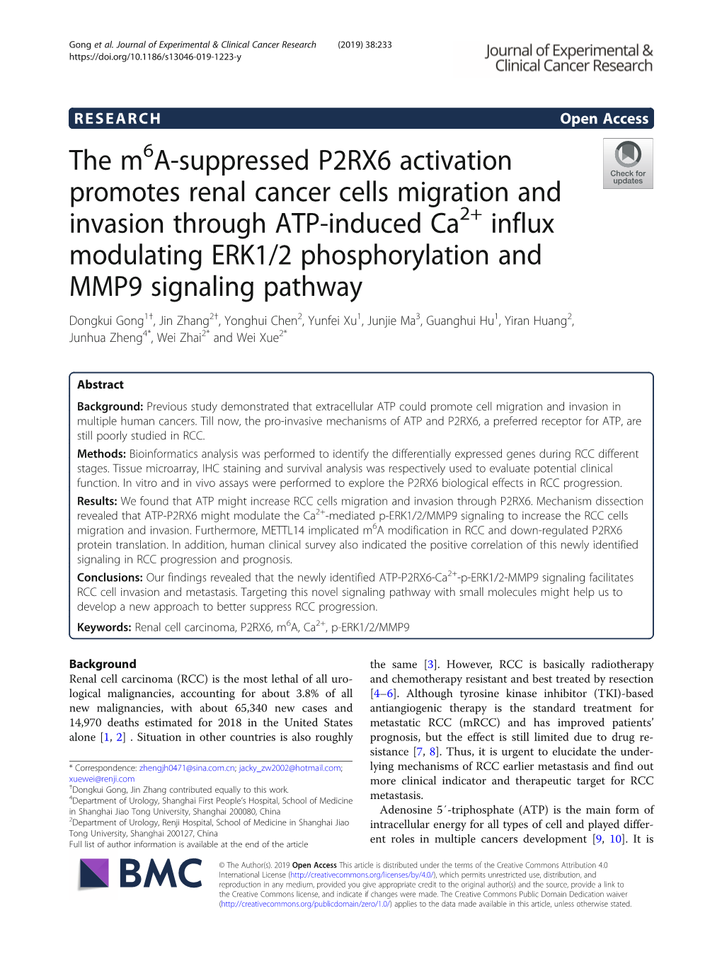 The M6a-Suppressed P2RX6 Activation Promotes Renal Cancer