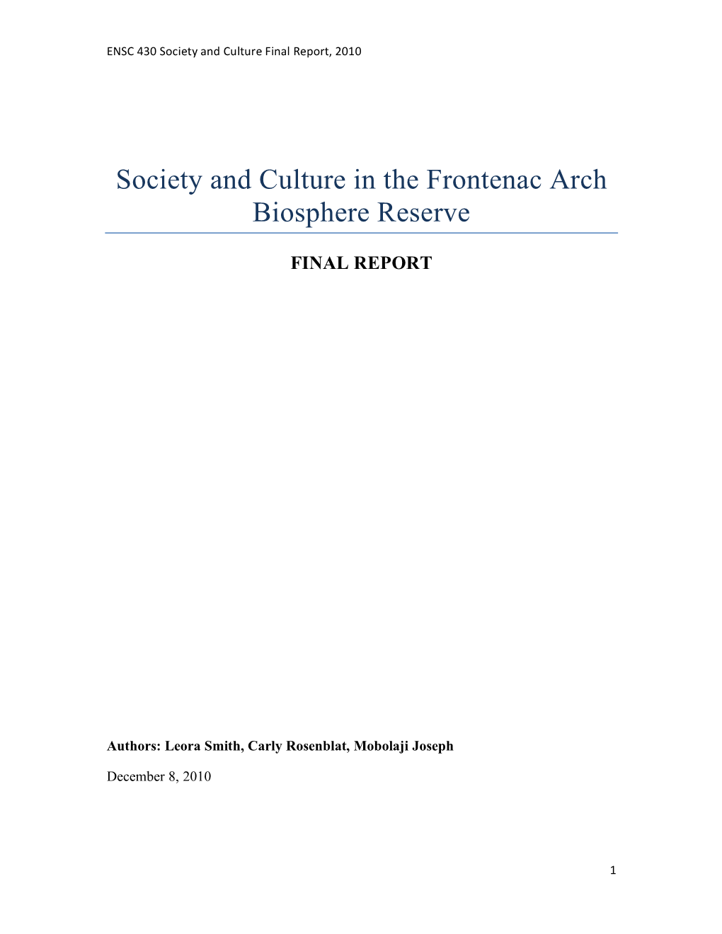 Society and Culture Final Report, 2010