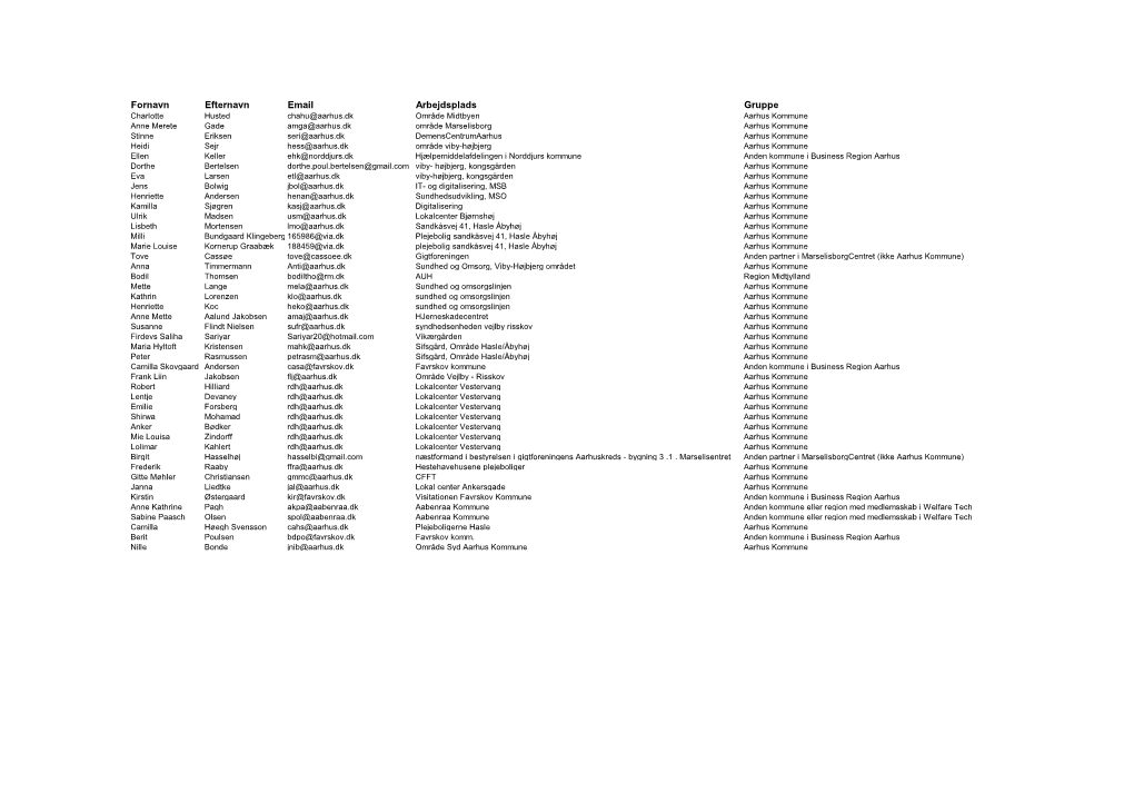 Fornavn Efternavn Email Arbejdsplads Gruppe