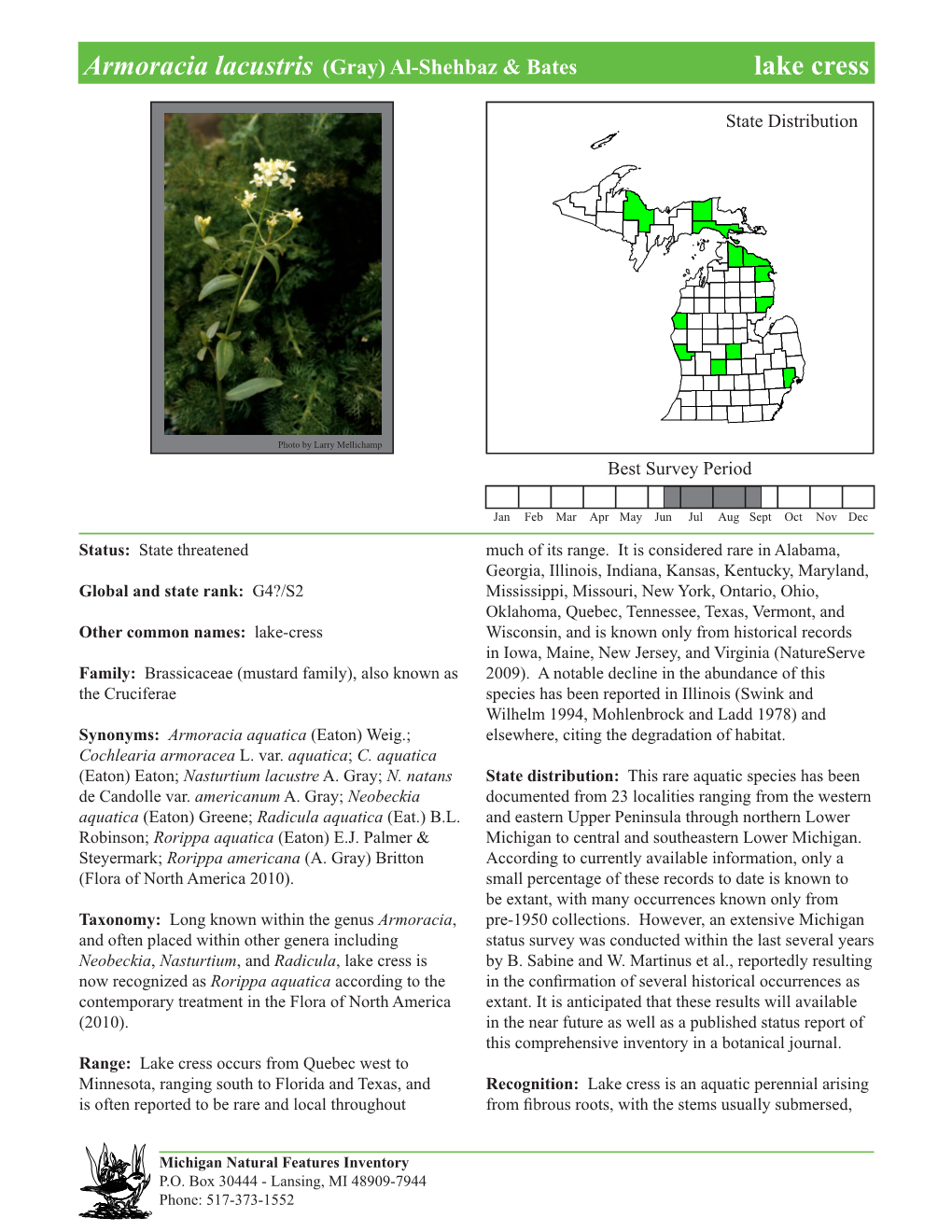 Armoracia Lacustris (Gray) Al-Shehbaz & Bates Lakelake Cress, Cress Page 1