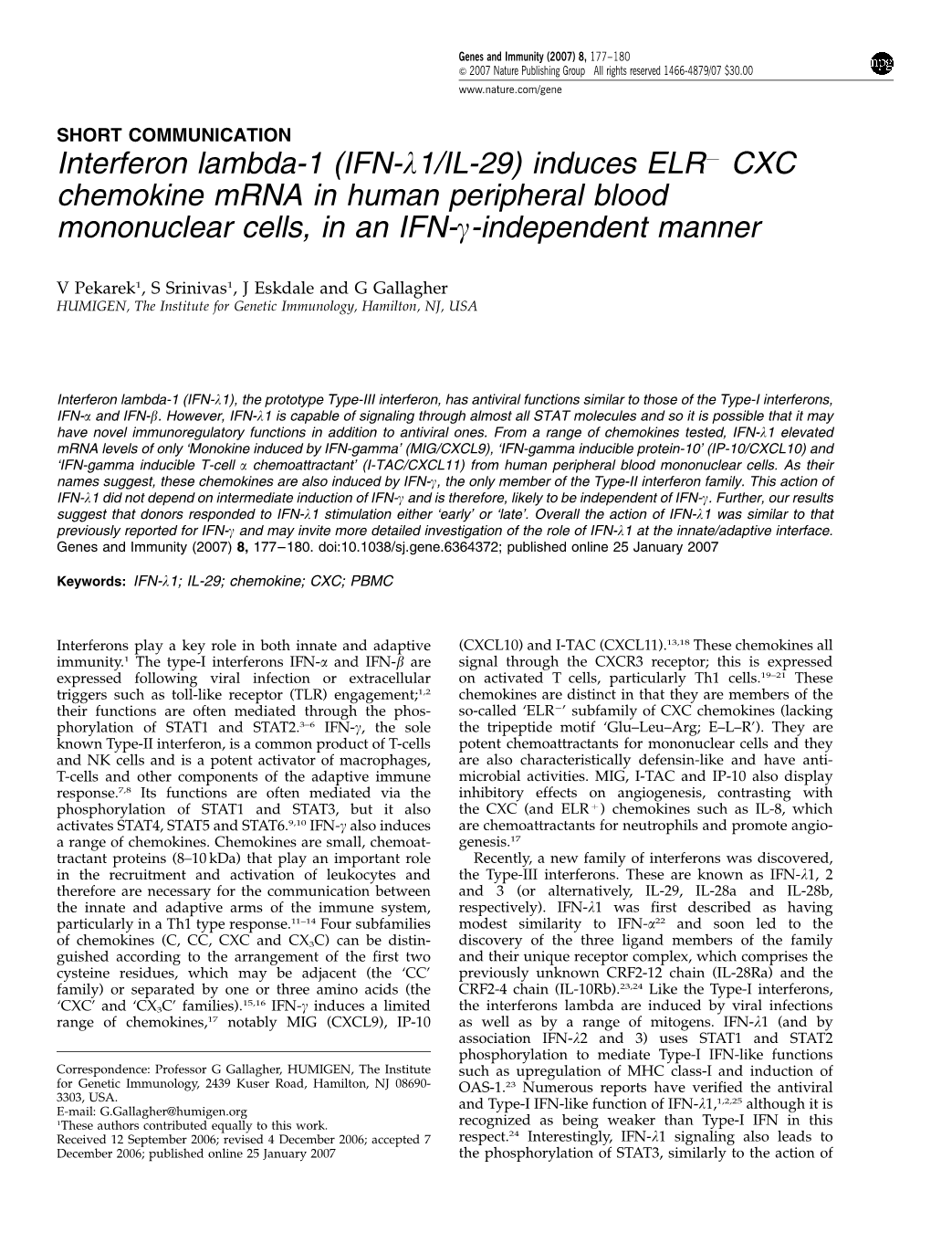Interferon Lambda-1 (IFN-L1/IL-29) Induces ELRА CXC Chemokine